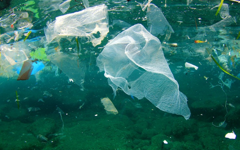 Plastic pollution — ways to solve the problem