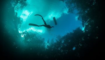 How expensive is Freediving?
