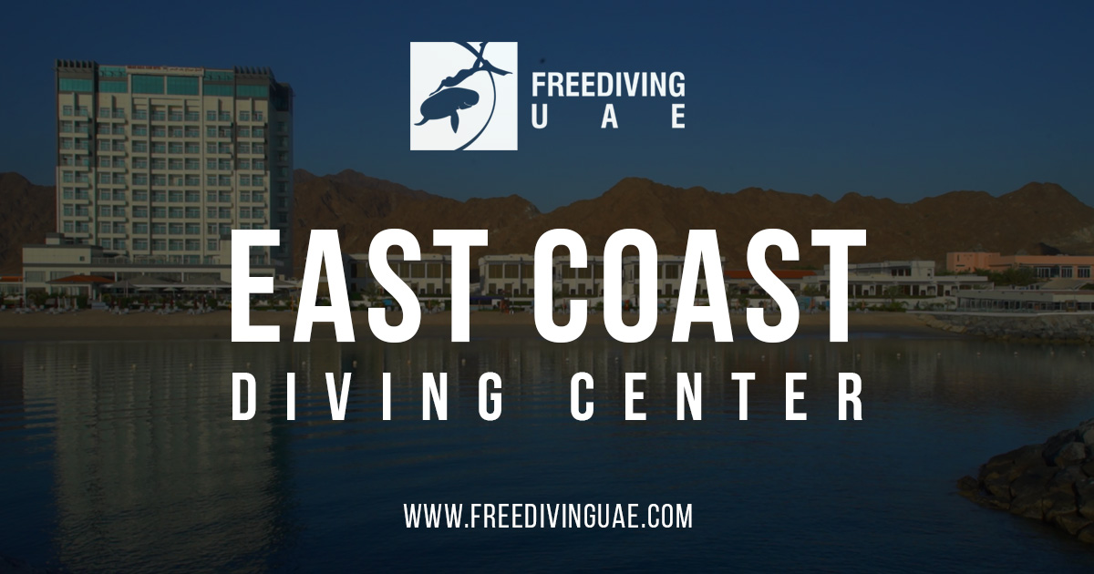 Freediving Locations in UAE